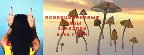 МДМА Верхний Тагил