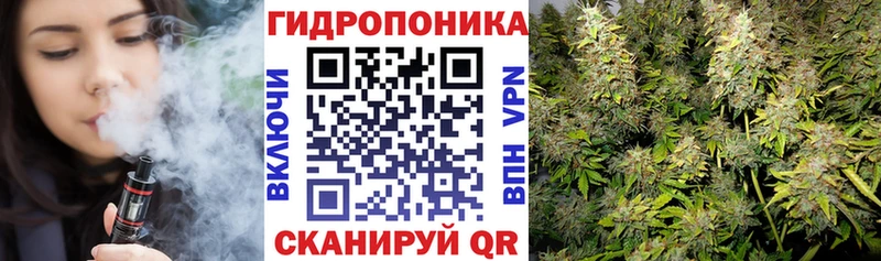 Купить где  Фролово  Шишки марихуана SATIVA & INDICA 